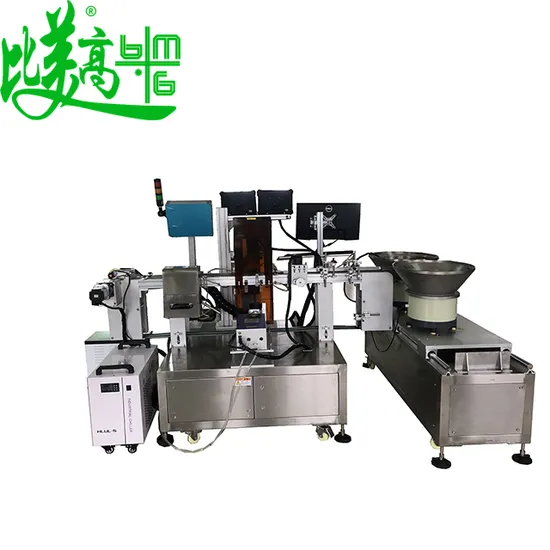 Traceable Mark 20W 30W 50W Fiber Laser Marking Machine Visual Appraisal Testing Equipment for Food Beverage Industrial Automatic Paper Bag Printing Machine 